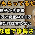 75歳男性実話「年金くらいいいだろ 」愛する息子からの金銭要求。身内にだけは絶対に言わない年金と老後資産4000万。私は彼に大きな嘘をついた【60代以上の方へ⧸老後の幸せ⧸シニア】