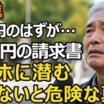 75歳年金暮らし、身に覚えのないクレジットカード請求80万円、カード情報を一度入力すると何が起こるのか 原因はまさかの   【シニア老後】