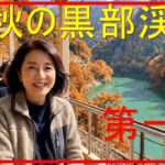 【シニア旅行　旅】【AI生成動画】新潟旅行　晩秋の黒部渓谷トロッコ電車