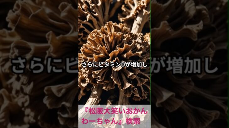 松阪市 シニア向けスマホ活用教室 冷蔵庫の整理術をAIで学んだ ムダが減った #shorts