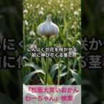 松阪市 シニア向けスマホ活用教室 旅行の計画が楽しくなる AIの活用法 学べる #shorts