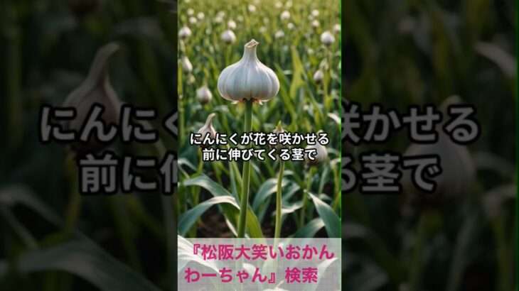 松阪市 シニア向けスマホ活用教室 旅行の計画が楽しくなる AIの活用法 学べる #shorts