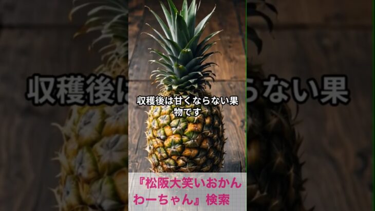 松阪市 シニア向けスマホ活用教室 体調チェックにも役立つ AIの豆知識 #shorts