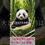 松阪市 シニア向けスマホ活用教室 健康情報が多すぎて混乱 AIで整理して理解 #shorts