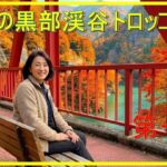 「AI生成動画」【シニア旅行】結婚して40年初めての夫婦旅行　新潟旅行　晩秋の黒部渓谷トロッコ電車