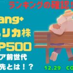 【Fang+アメリカ株・S&P500・新NISA】シニア前世代ランキング！変化はある？暴騰or暴落？12.29