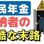 🌸🍡👘【絶対NG】年金の未納を続けた人の悲惨な末路。国民年金保険料未納のデメリットと回避方法を解説します【老後年金】🌸🍡👘