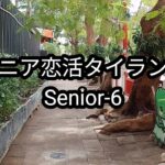 【Senior-6】視聴者の6割が65歳以上｜シニア男性が本当に楽しめるメンバーシップとは？