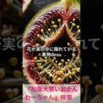 松阪市 シニア向けスマホ活用教室 栄養と調理法を動画で学ぶ時代 YouTube #shorts