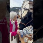 佐賀県！うしたんとおばあちゃん有田焼でペアカップ#シニア演技 #シニア女優 #cowlover #animals #aiおばあちゃん #旅行記　#旅行