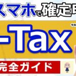 👴 超便利スマホで確定申告e Tax完全ガイド定額減税に注意準備入力まで実演わかりやすく解説年金 退職金 医療費控除 住宅ローン ふるさと納税 副業 必要書類 最新版 税理士監修のもと作成👴