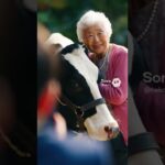 京都来てみた！うしたんとおばあちゃん#旅行　#京都　#kyoto #kyototourism 　#aiおばあちゃん #シニア恋愛 #シニア女優 #シニア演技 #cowlover #動物 #恋愛運