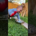 とてもかわいい赤ちゃんと小さくてかわいい子犬とのラブラブな映像 #shors