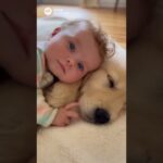 とてもかわいい赤ちゃんと小さくてかわいい子犬とのラブラブな映像 #shors