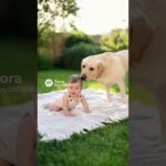 とてもかわいい赤ちゃんと小さくてかわいい子犬とのラブラブな映像 #shors