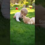 とてもかわいい赤ちゃんと小さくてかわいい子犬とのラブラブな映像 #shors