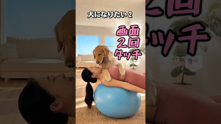 飼い主とヨガ#お笑い #美容 #ヨガ #shorts #シニア