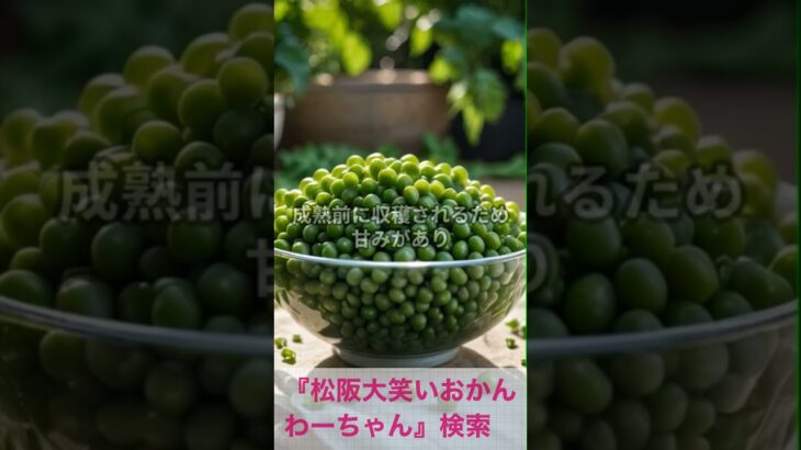 松阪市 シニア向けスマホ活用教室 食材の旬もスマホで学ぶ 料理法も簡単 #shorts