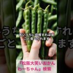 松阪市 シニア向けスマホ活用教室 料理や健康講座も無料で学べる #shorts