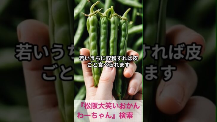 松阪市 シニア向けスマホ活用教室 料理や健康講座も無料で学べる #shorts