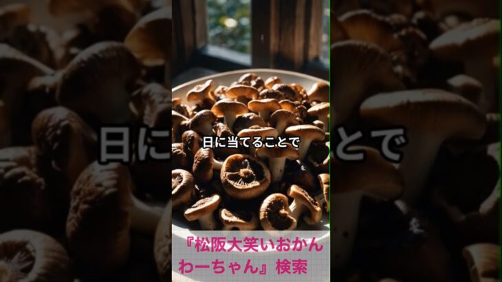 松阪市 シニア向けスマホ活用教室 食事記録に便利なカメラ活用術 少人数で丁寧 #shorts