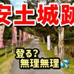 【ノア車中泊】滋賀〜奈良旅｜“安土城跡トラウマ”で登らない妻〜そして放牧⁉️《シニア夫婦旅》