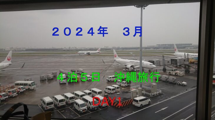 ４泊５日　沖縄の旅を皆様にご覧頂きたく配信しました。今回は第１日目です。ご視聴いただければ幸いです。