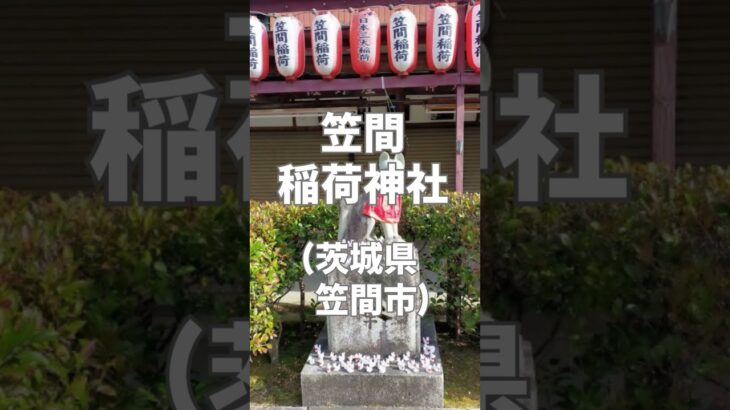 【シニアも参拝しやすい】北関東の初詣スポット５選