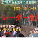 紅葉とグルメの京都旅　シニアデイトレ