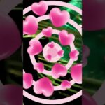 シニアの生活　グループ旅行