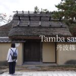 【シニア夫婦　丹波篠山】秋の城下町をゆっくり散策