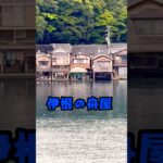 念願の旅人　海上に浮く伊根の舟屋 #シニア #ひとり旅 #伊根湾