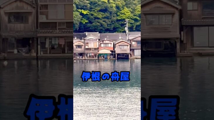 念願の旅人　海上に浮く伊根の舟屋 #シニア #ひとり旅 #伊根湾