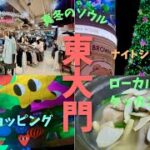 シニアも楽しむ東大門ナイトショッピング&韓国芸能人御用達タッカンマリ‼️【冬のソウル旅行/東大門】