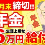 🔴 【知らないと損】年金を貰っていて生活が苦しい方必見！年金生活者必見の支援制度   生活を劇的に改善する方法とは🔴