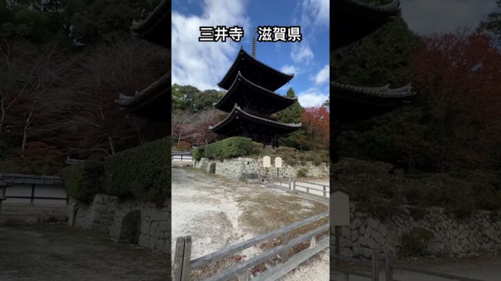 シニア女性旅　三井寺