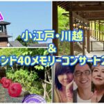 【旅行vlog】川越に行って来ました/シニアライフ/Live/氷川神社