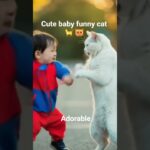 ベビージブサファイター vs かわいいネコ、１発ずつだけって約束だよ？