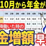 🎏【10月から年金増額】定年後も働くと年金いくら増えるのか？一目でわかる早見表も！【経過的加算 未納期間 在職定時改定 再雇用】🎏