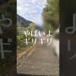 ふたりで140歳｜道の駅で車中泊　#足摺岬　#四万十川#軽バン#車中泊 #シニア  #旅行