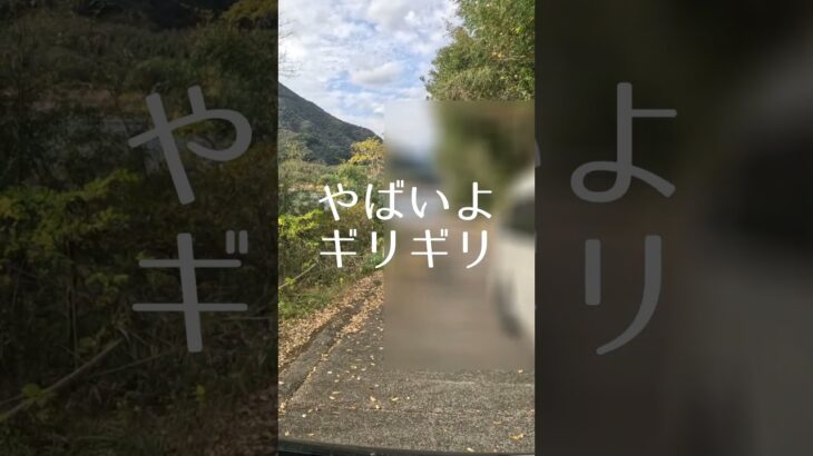 ふたりで140歳｜道の駅で車中泊　#足摺岬　#四万十川#軽バン#車中泊 #シニア  #旅行