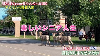 (17)耕太郎とYumeちゃんの『楽しいシニア人生』シリーズ話は、いよいよアメリカへ入国