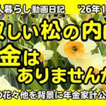 1a【年金二人暮らし動画日記】寂しい松の内に…お金はありませんが…駅伝三昧／サスペンスドラマ三昧／季節の花７種 #シニアvlog,#60代,#70代,#年金暮らし,#九州,#熊本,#八代,