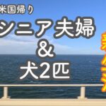【米国帰りシニア夫婦＆犬2匹。トカイナカの終の住処の新生活】家族で小旅行。ドギーズアイランド