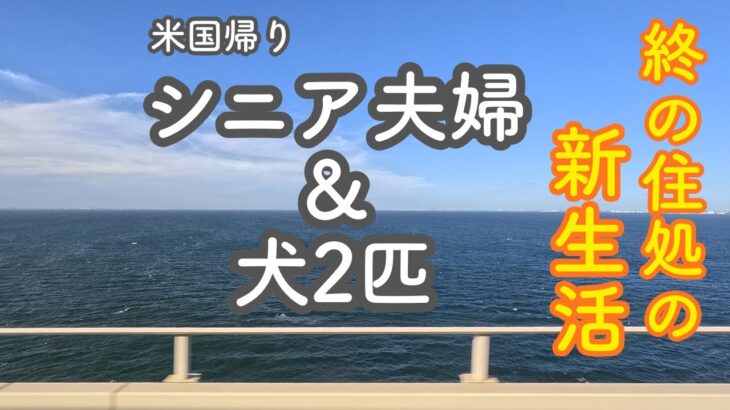 【米国帰りシニア夫婦＆犬2匹。トカイナカの終の住処の新生活】家族で小旅行。ドギーズアイランド