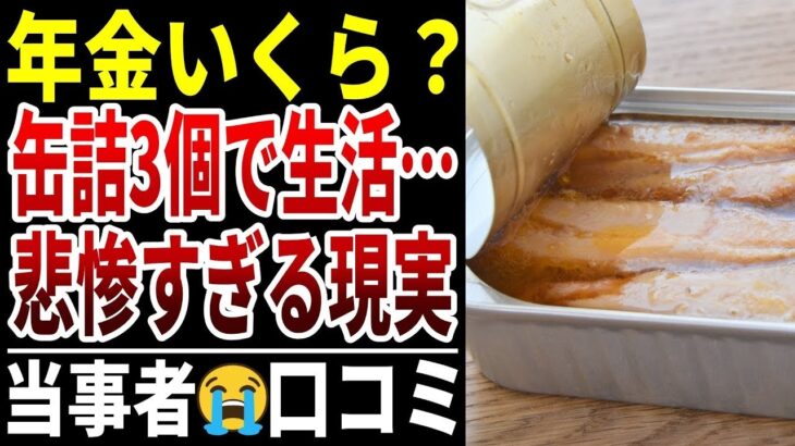 【衝撃】想像以上に辛い年金暮らし… シニアの口コミ20選