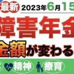 👴【最新】2023年6月15日支給分「障害年金」支給額が変わる！？年金額〜改定ポイントまで！まるっと解説◎👴