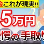 🌸【2024年11月最新版】年金15万円の手取り額に驚愕！天引きされる税金はいくらになる…？計算方法を徹底解説！🌸