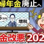 ˚⊱🪷⊰˚【年金改正2024年】「主婦年金廃止！年15万円負担増」の真相とは⁉影響を受けるのはどんな人？˚⊱🪷⊰˚
