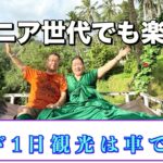 【2025年バリ島旅行】#3　60代シニア夫婦の ウブド1日観光はカーチャーターで正解